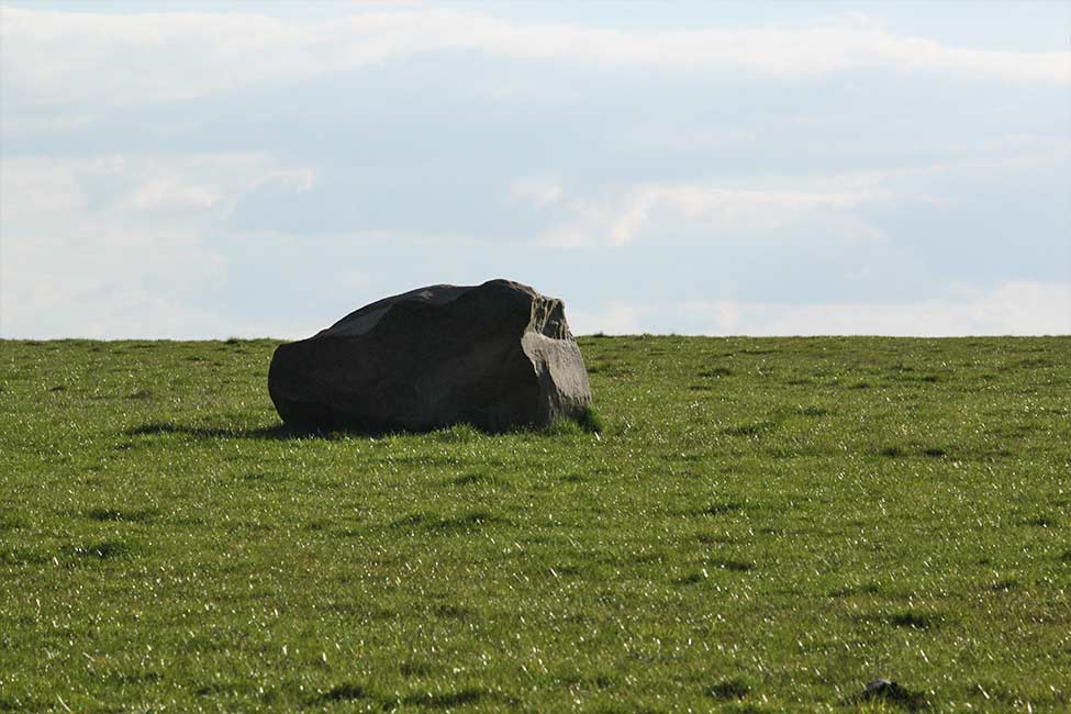 Sarsen stone in field