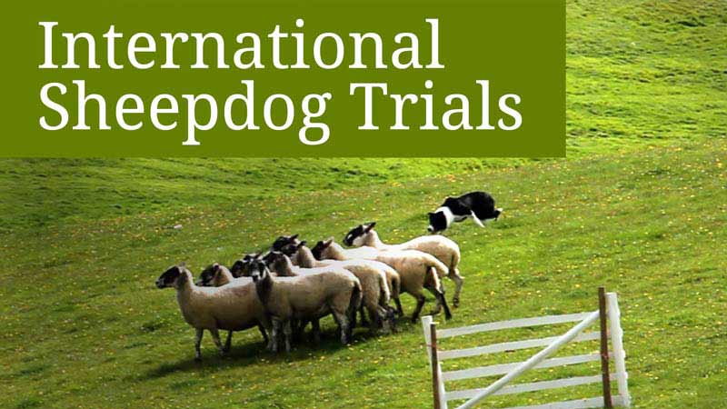 Highlight footage from the International Sheepdog Trials 2017 on Saturday 9th September