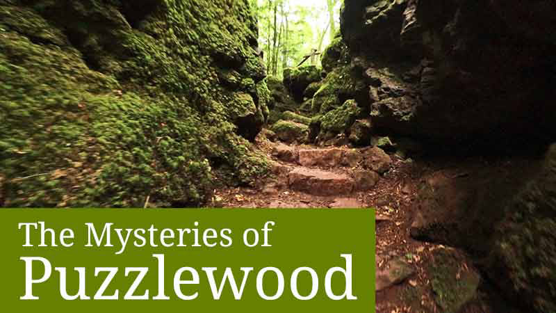 Exploring Puzzlewood, a mysterious wood in the Forest of Dean