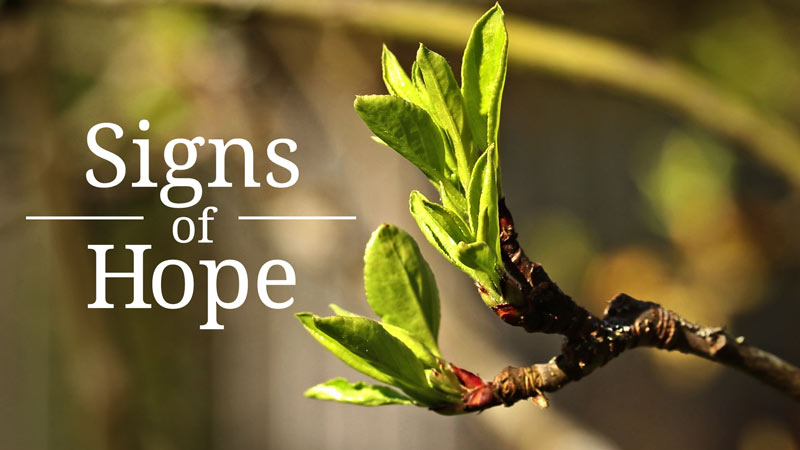 This time of year always gives me a sense of hope and I hope these clips will inspire that in you too.