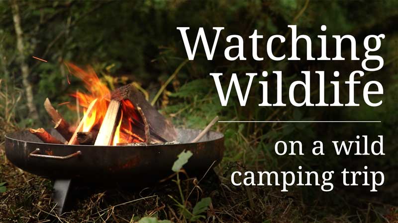 Watching Wildlife whilst Wild Camping on Exmoor National Park