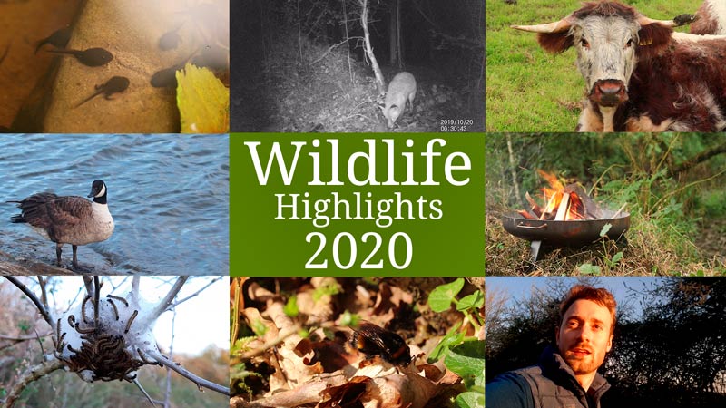 WildlifeBox adventures from the last year